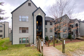 Winterplace Condos K Ludlow